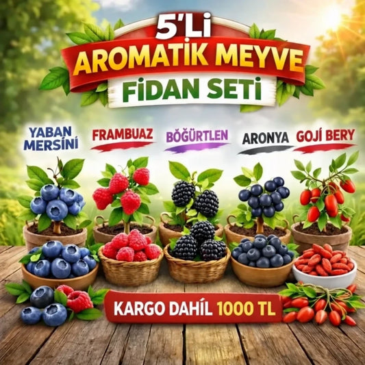 Aromatik 5'Li Meyve Fidanı Seti