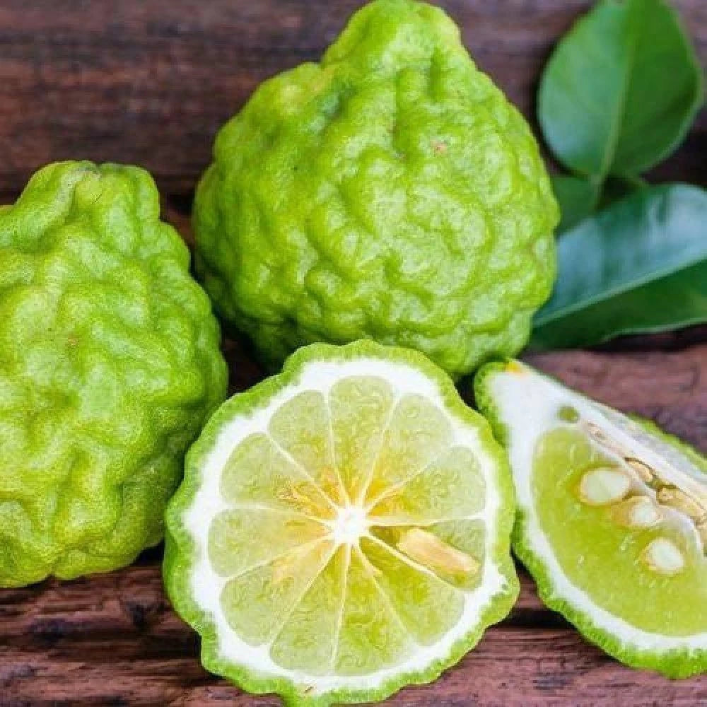 Bergamot Fidanı (2 Yaşında 100-120 cm)