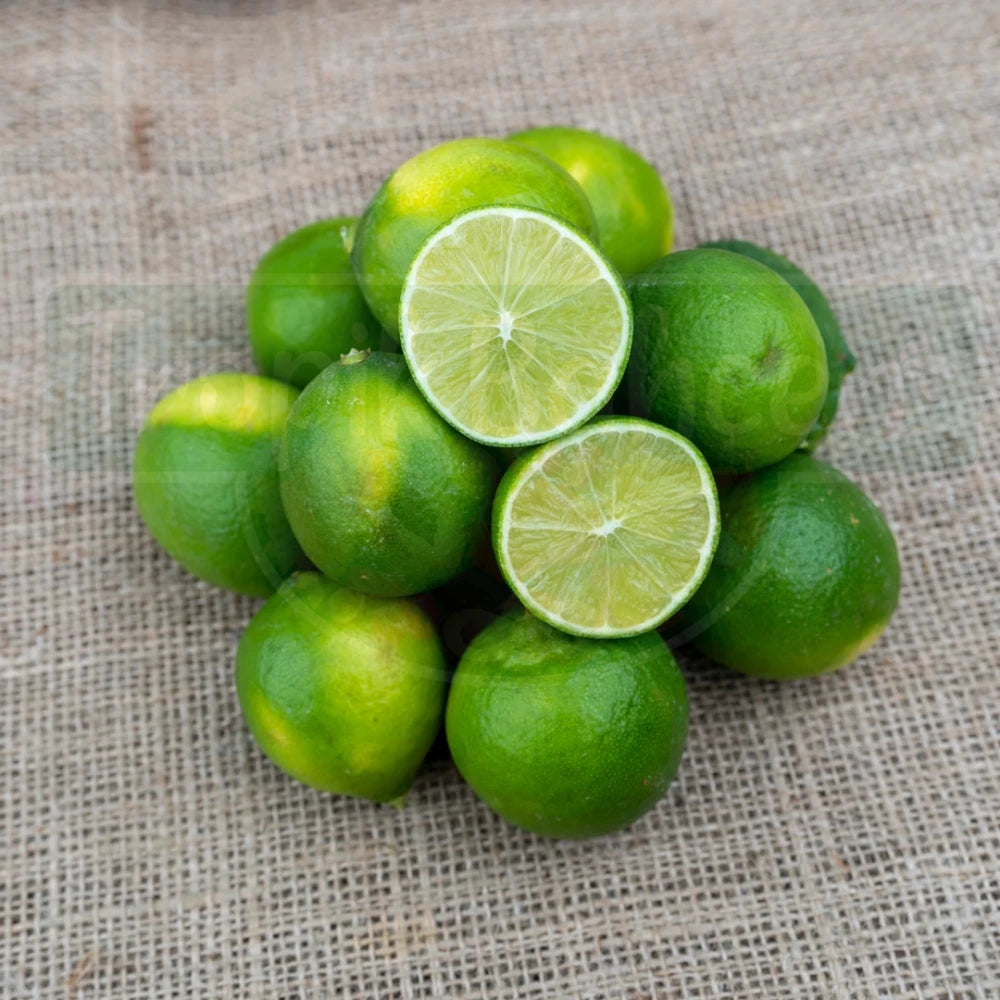 Misket (Lime) Limon Fidanı (3 Yaşında 100-120 cm)